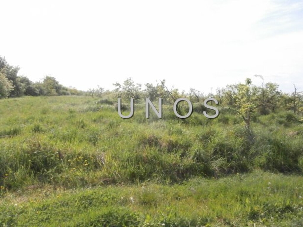 Image 1047685 - 2