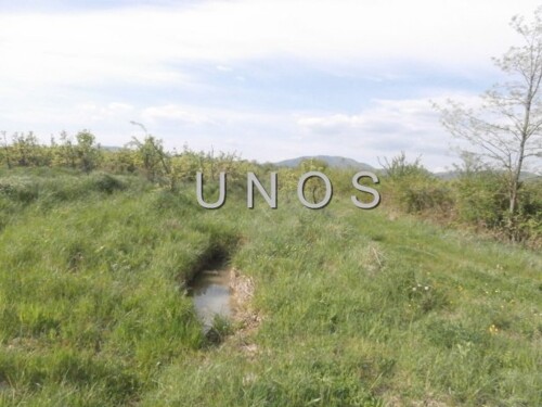 Thumbnail 1047685 - 3