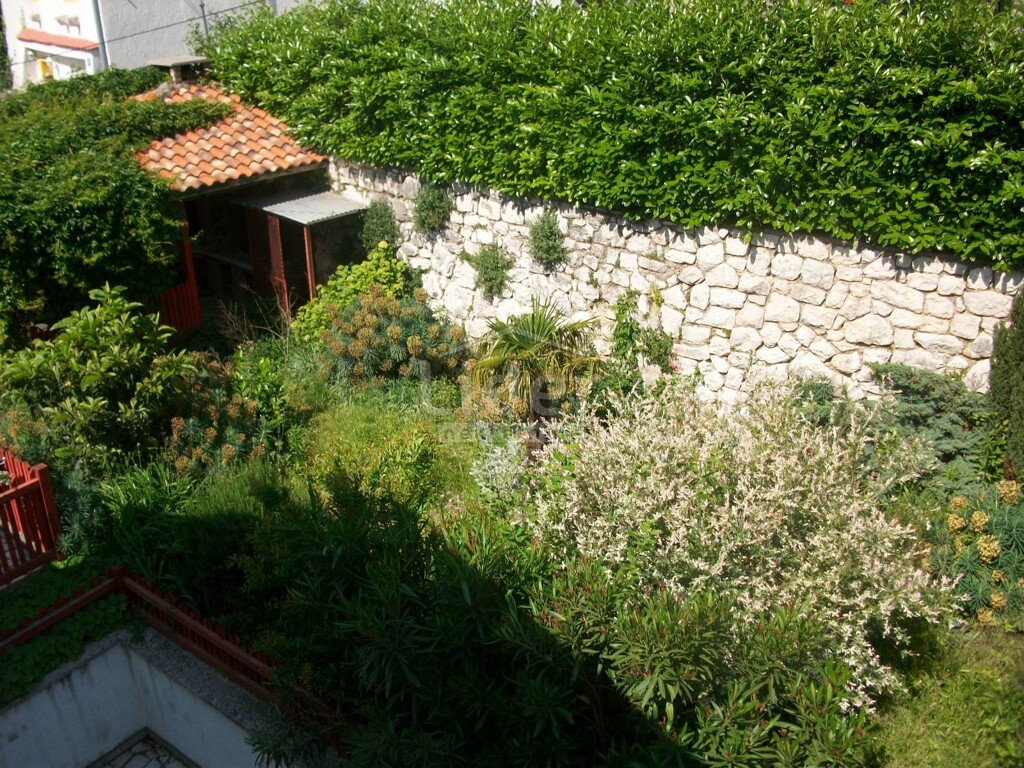 Image 1332703 - 5