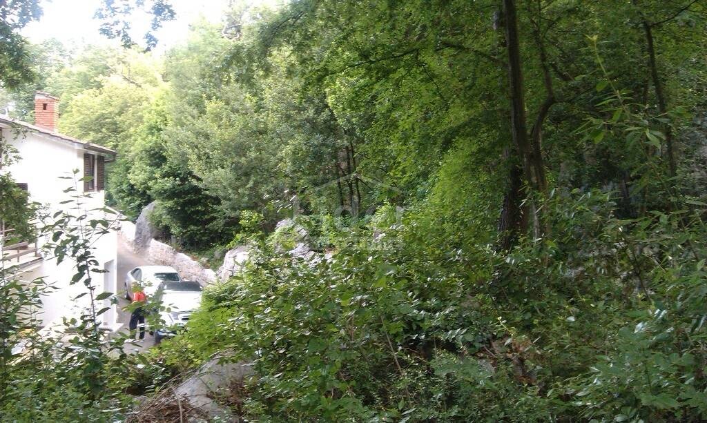 Image 1333137 - 3