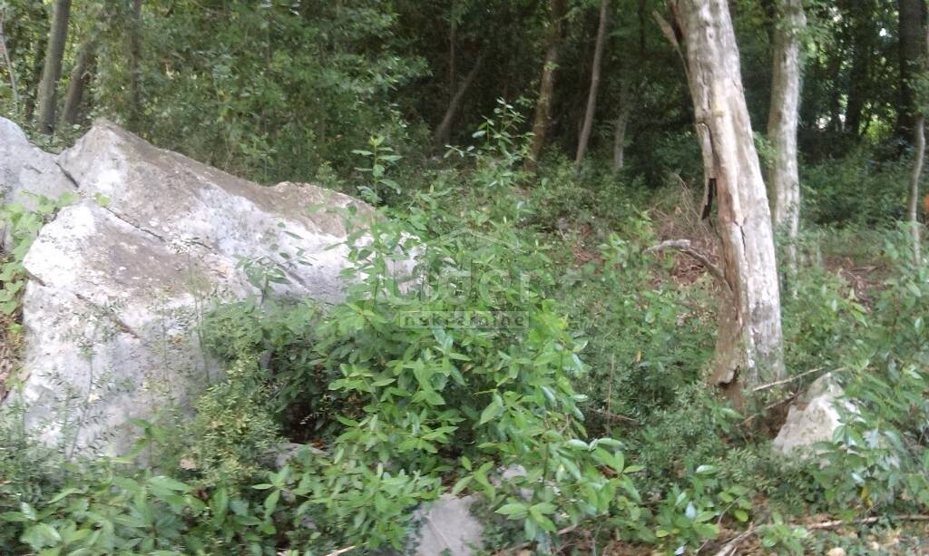 Image 1333137 - 2