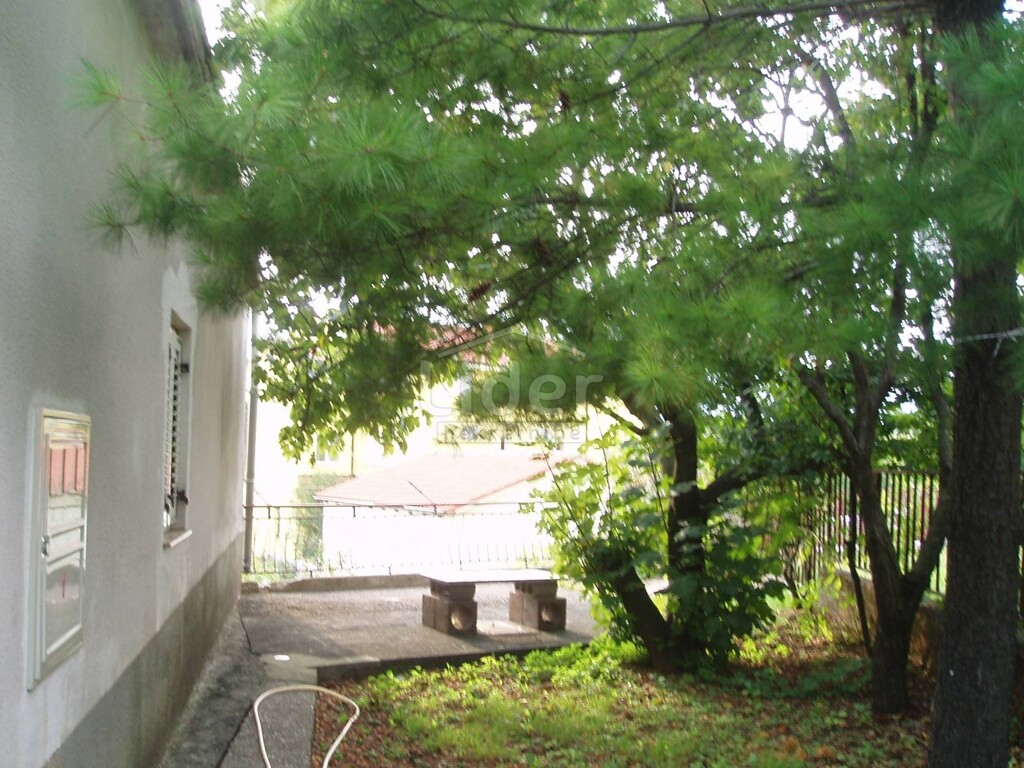 Image 1333572 - 1