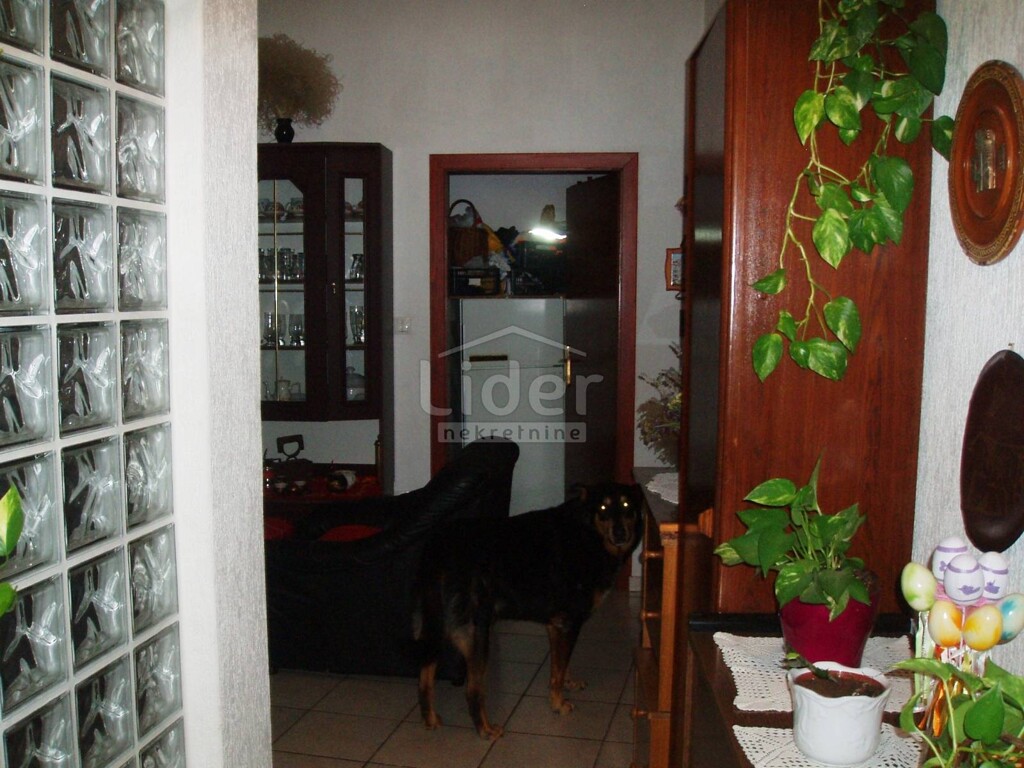 Image 1333572 - 2