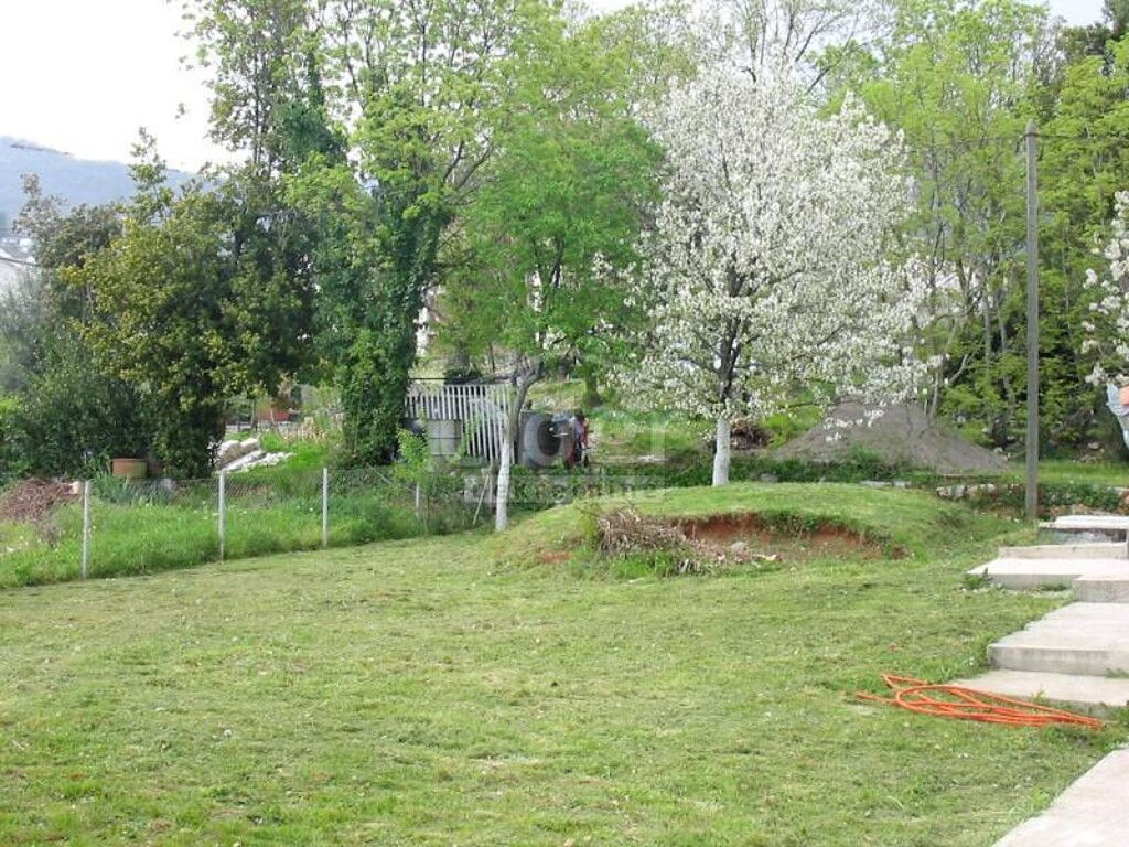 Image 1333794 - 1