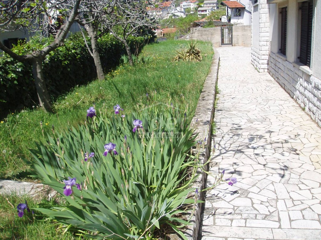 Image 1333857 - 6