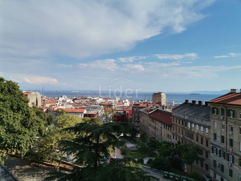 Image 1334281 - 1