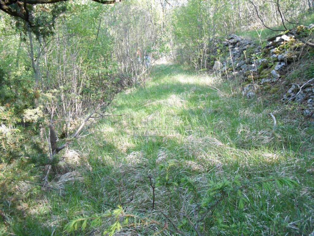 Image 1334352 - 3