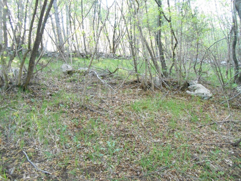 Image 1334352 - 1