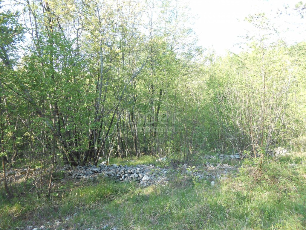 Image 1334352 - 4