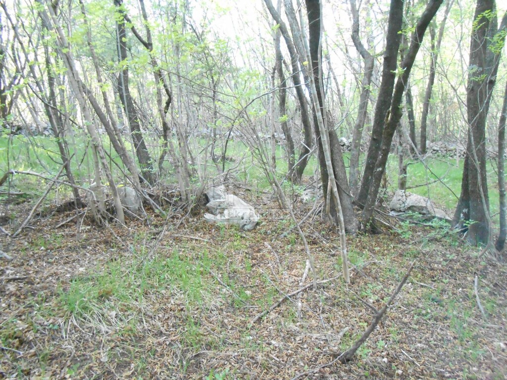 Image 1334352 - 2