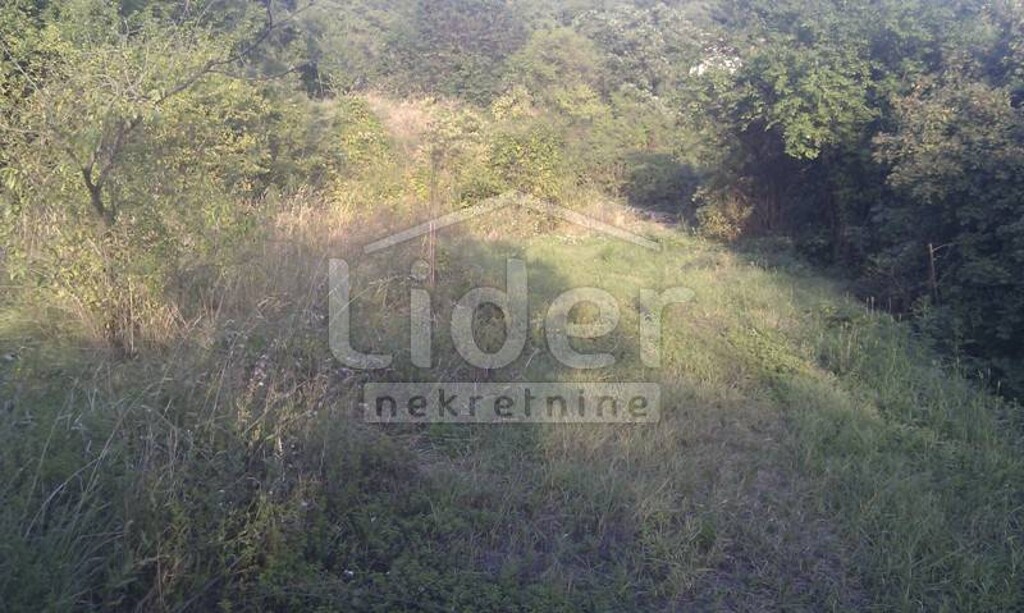 Image 1334358 - 1