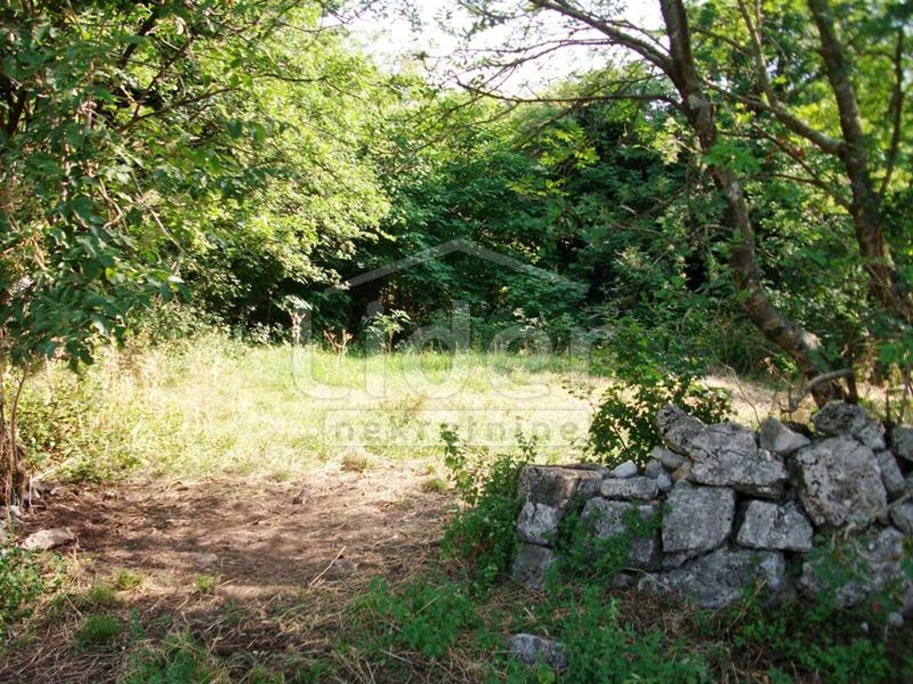Image 1334842 - 7