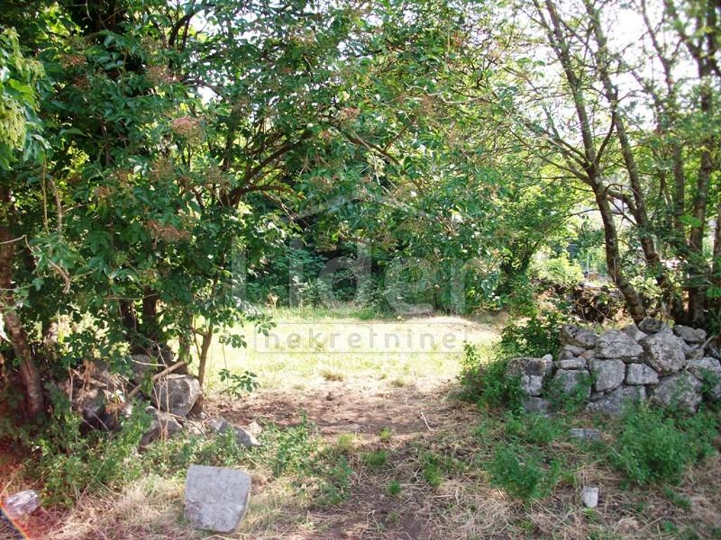 Image 1334842 - 6