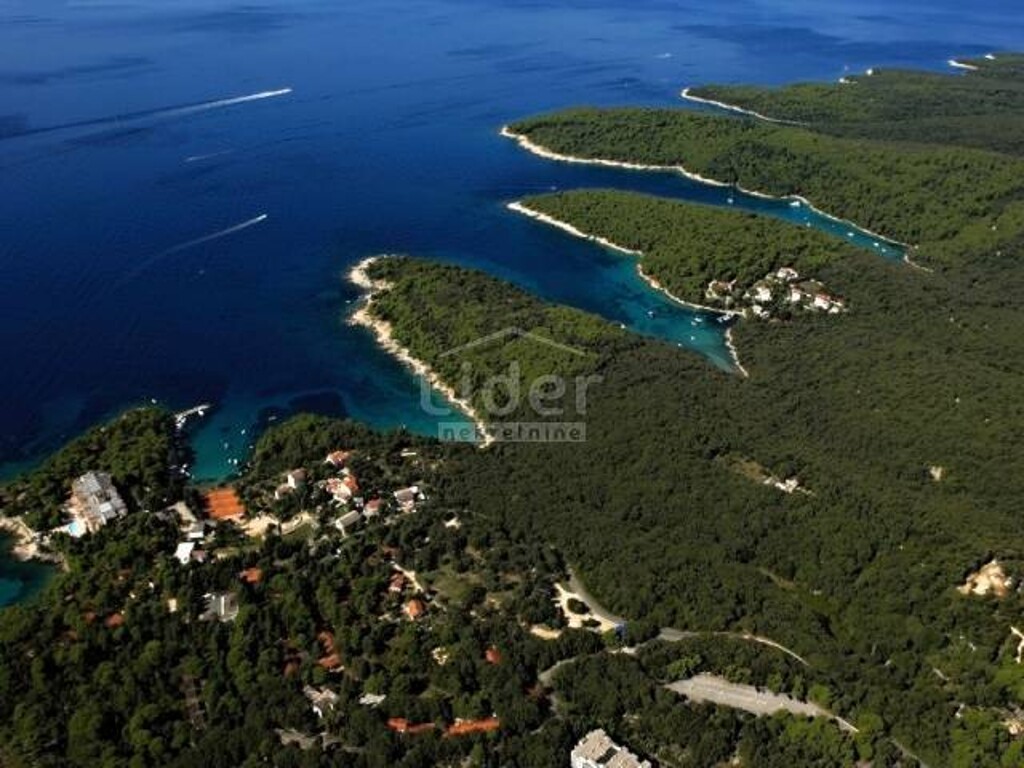 Image 1335030 - 2