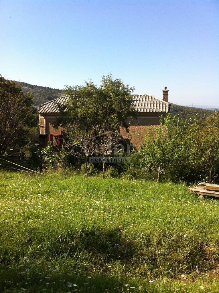 Image 1335373 - 3