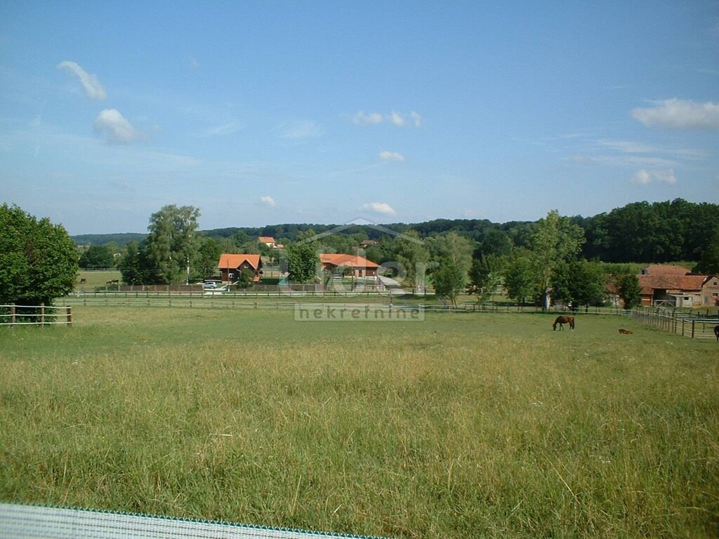 Image 1407637 - 2