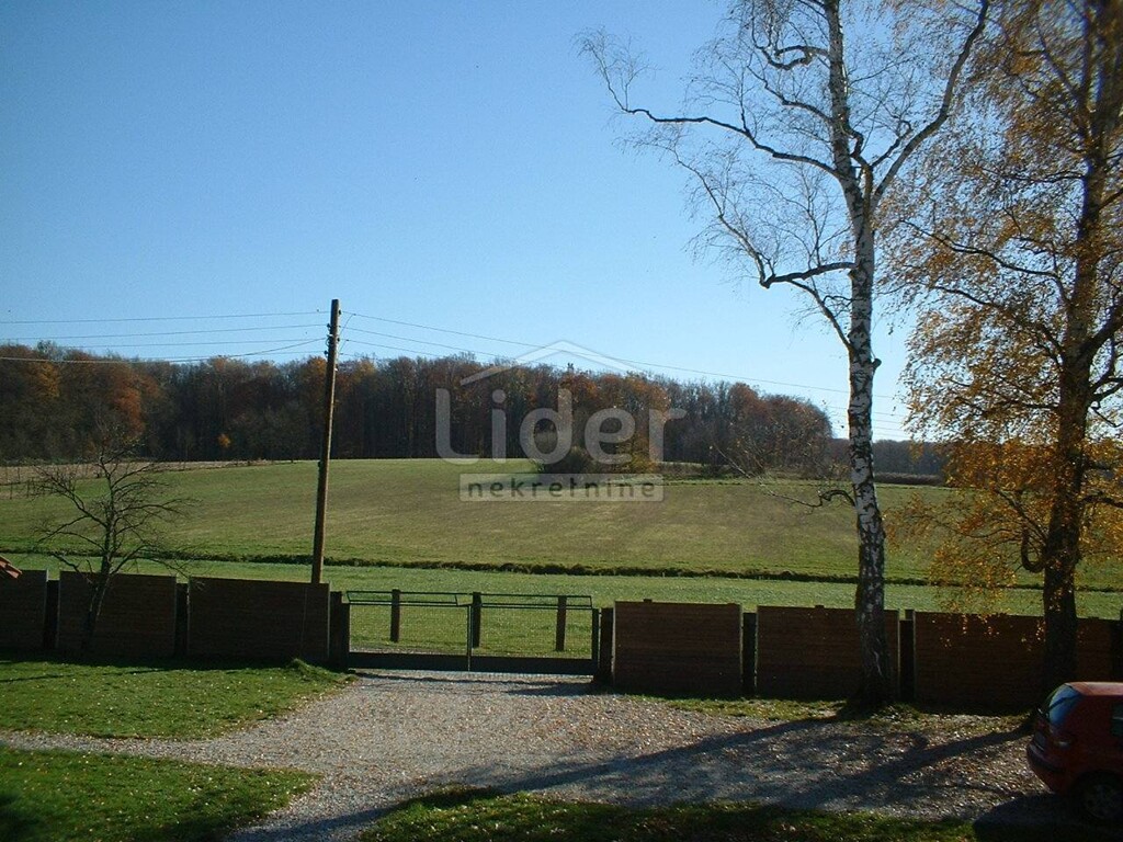 Image 1407637 - 1