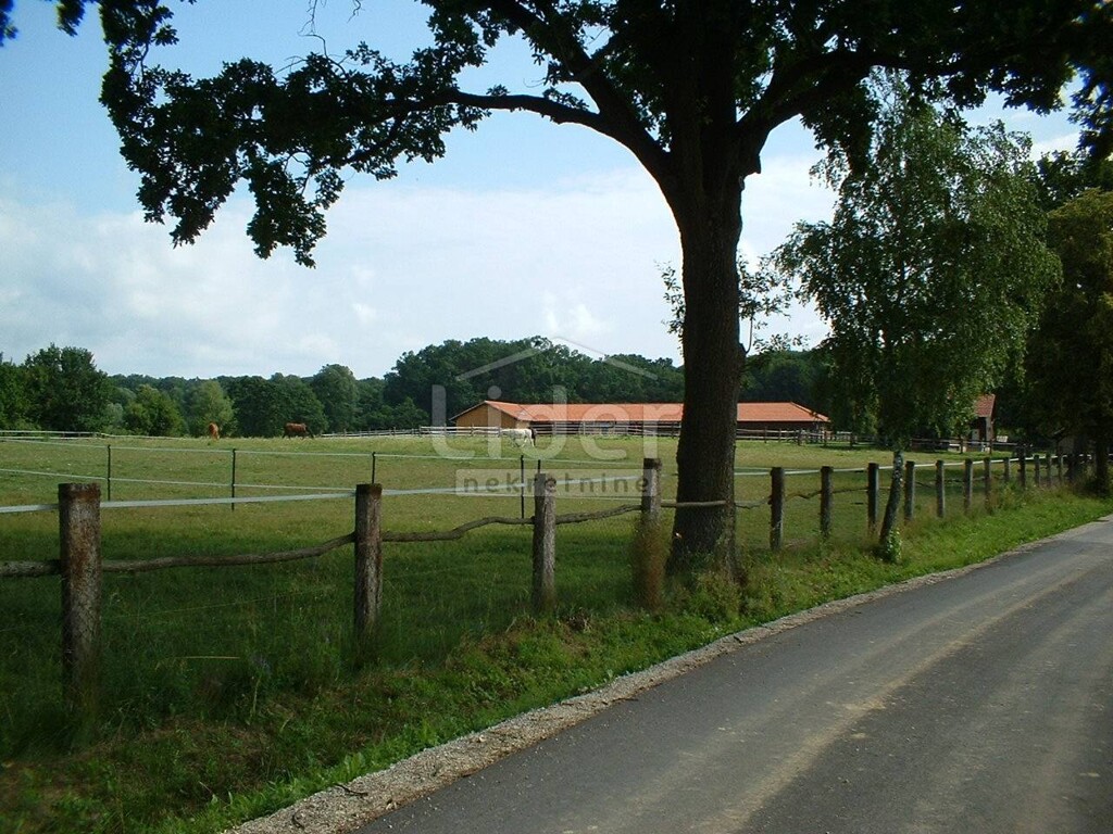 Image 1407637 - 8