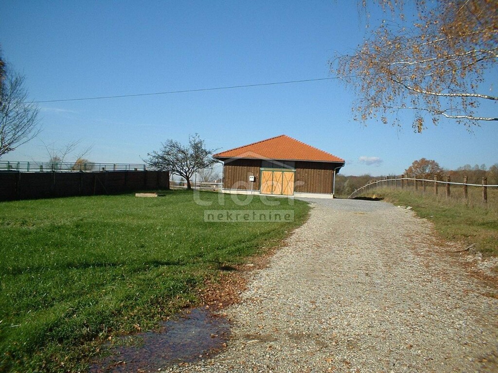 Image 1407637 - 7