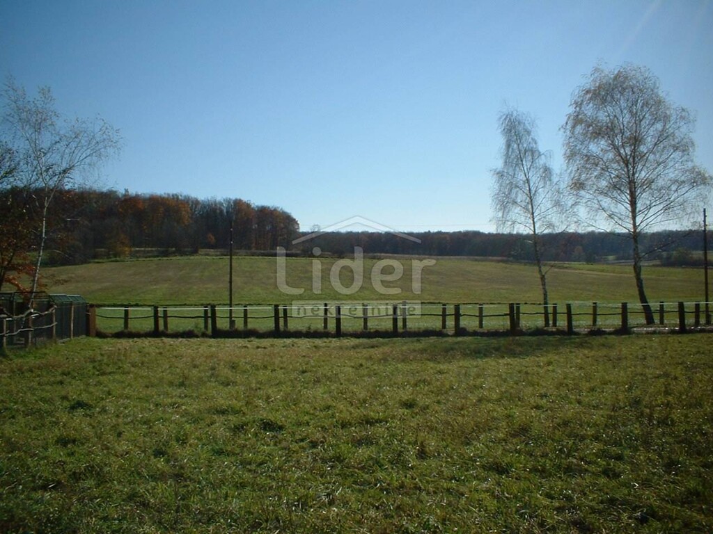 Image 1407637 - 6