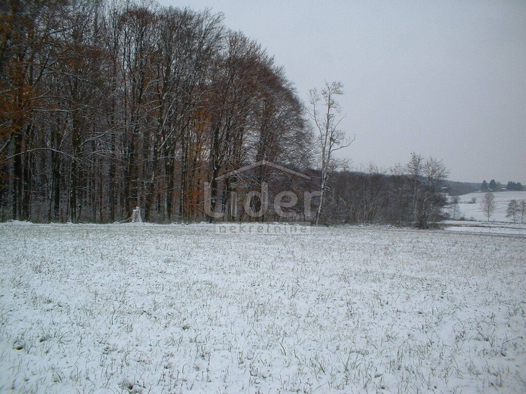 Image 1407637 - 14