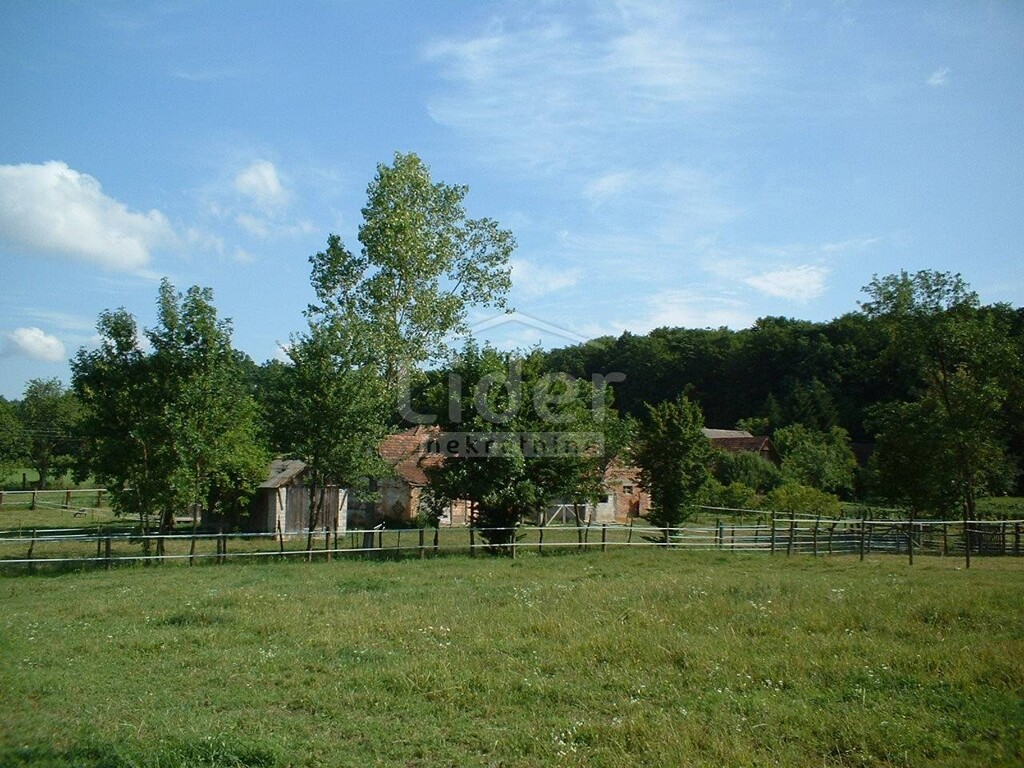 Image 1407637 - 3