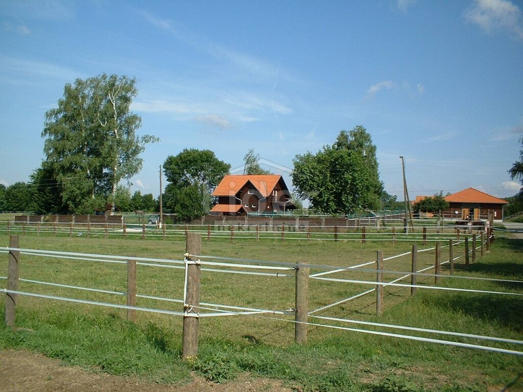 Image 1407637 - 5