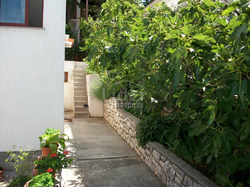 Image 1474956 - 5