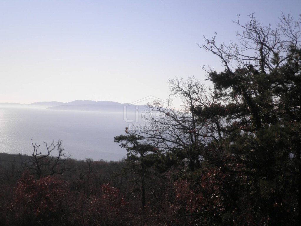 Image 1475523 - 1