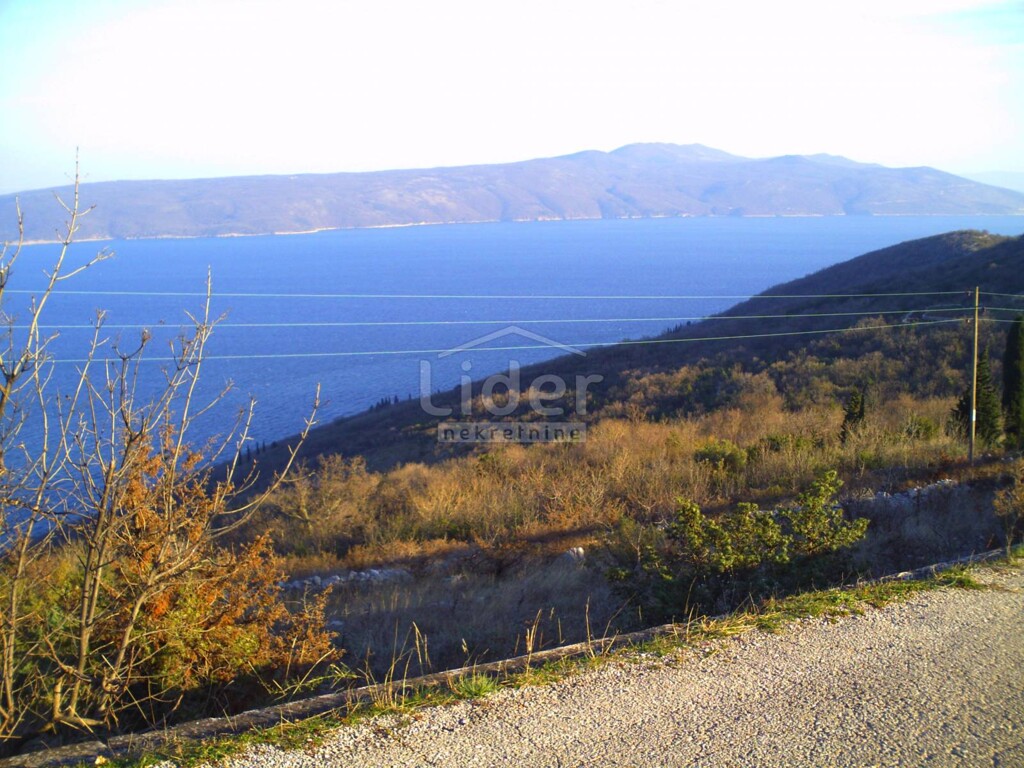 Image 1567324 - 3