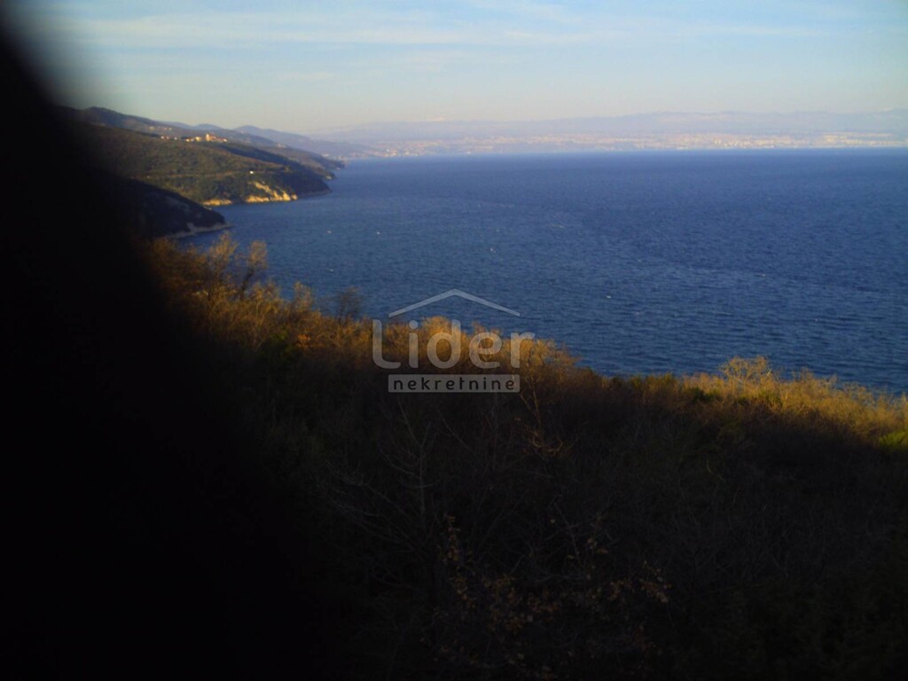 Image 1567324 - 2