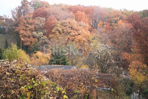 Thumbnail 1576767 - 5