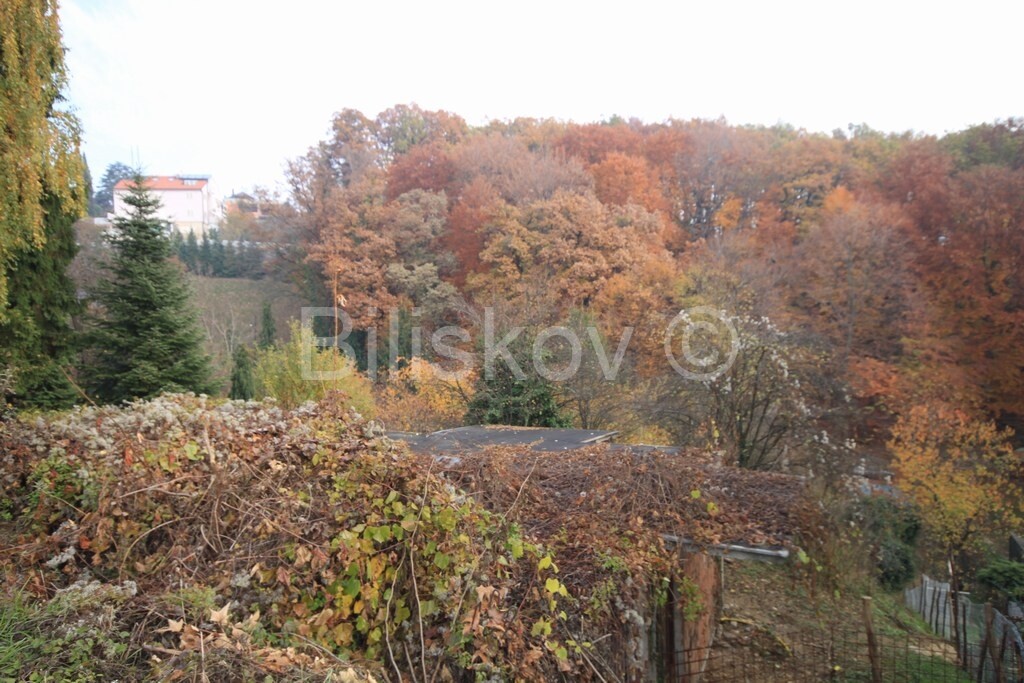 Image 1576767 - 3