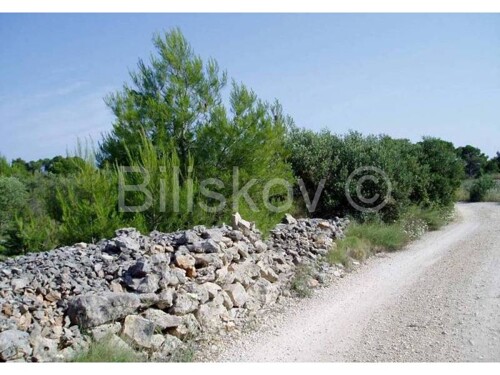 Thumbnail 1576795 - 7