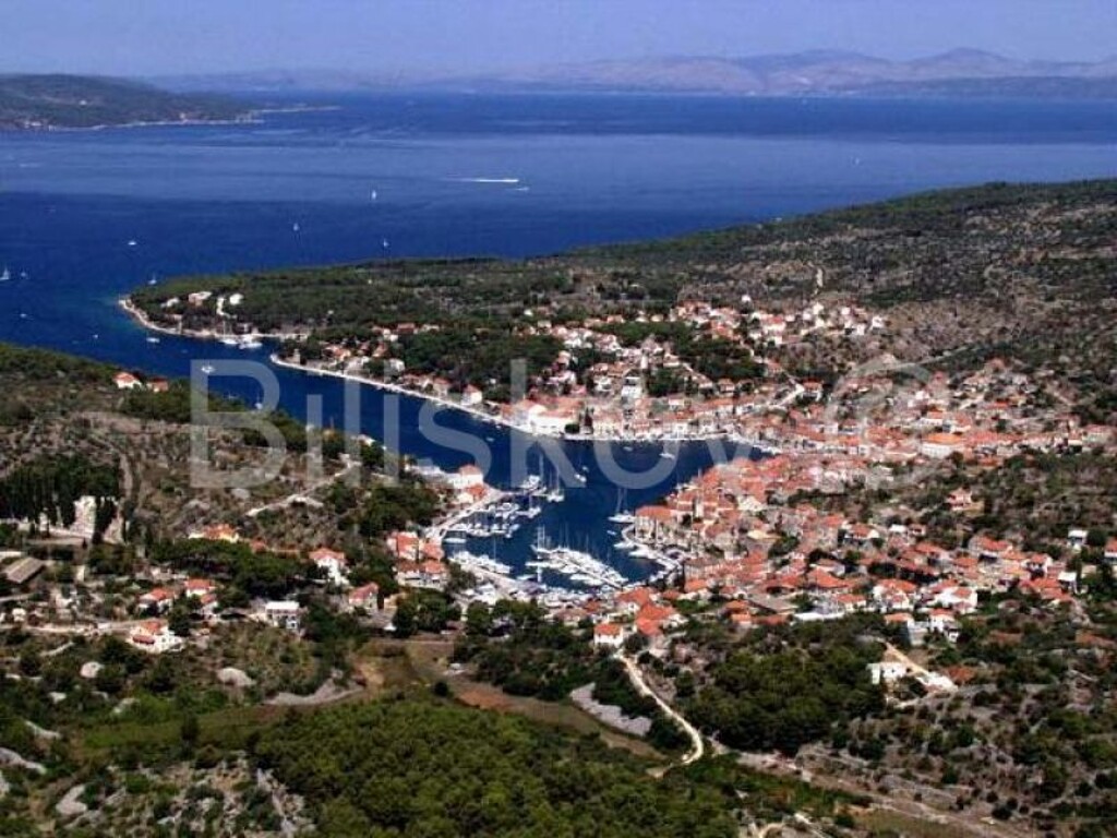 Image 1576795 - 1