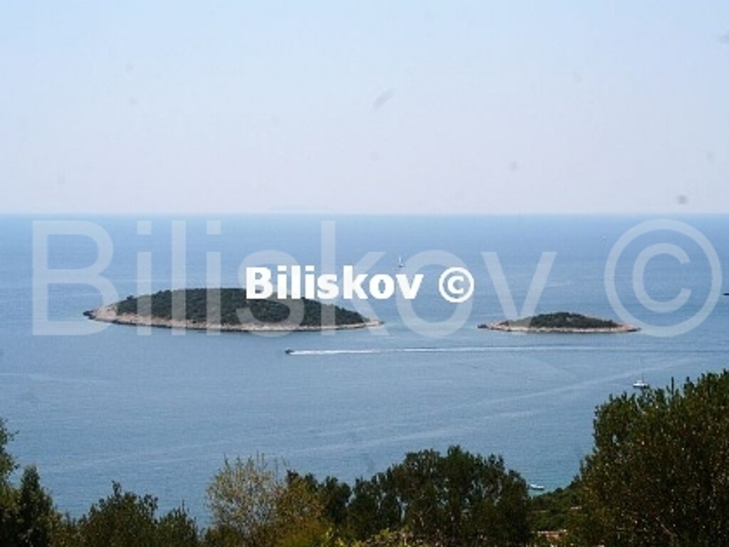 Image 1576798 - 1