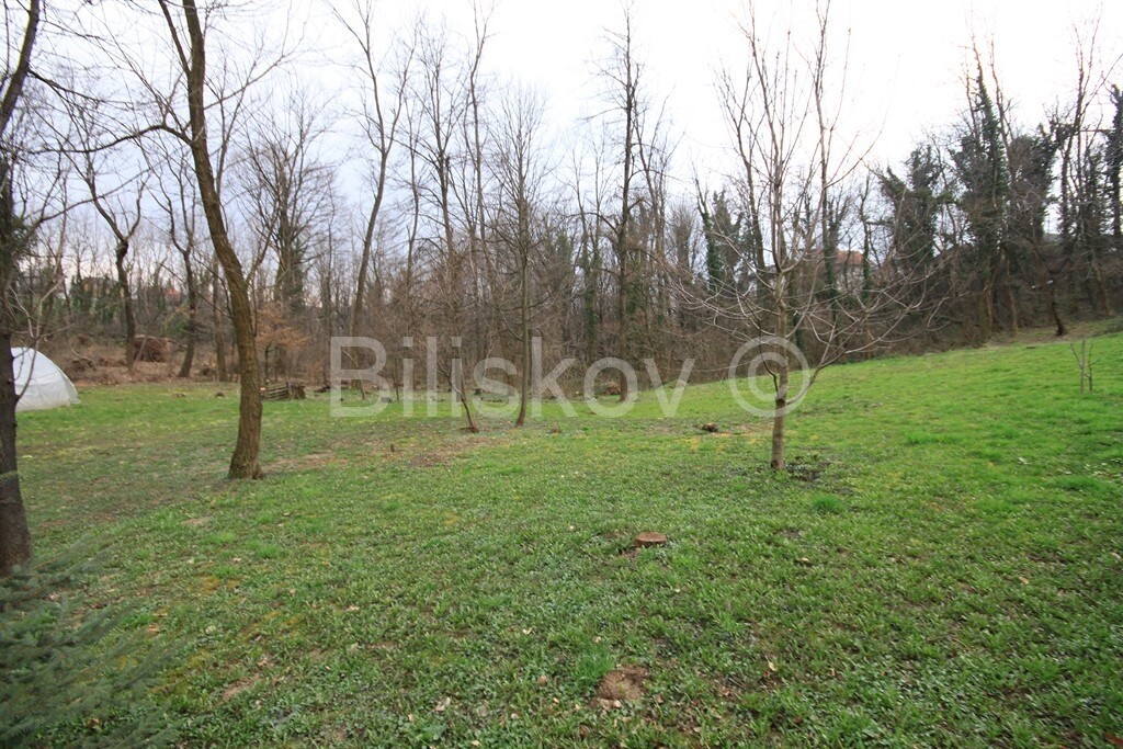 Image 1577047 - 2