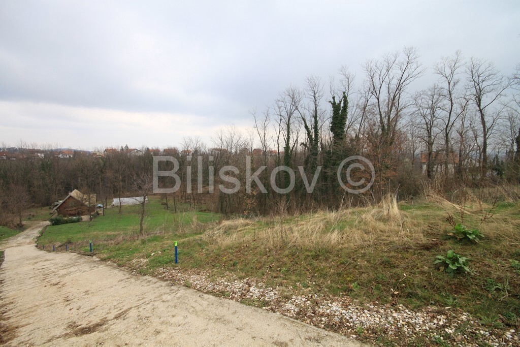 Image 1577047 - 1