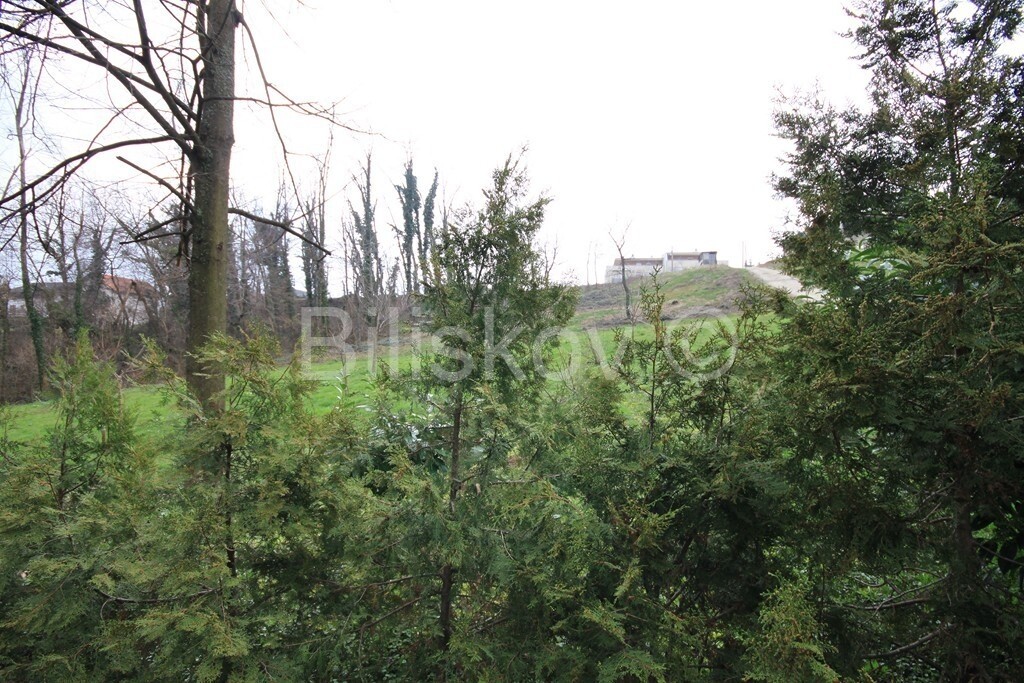 Image 1577047 - 3