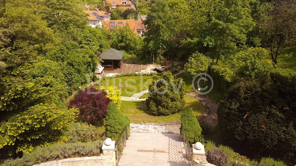 Image 1577548 - 1