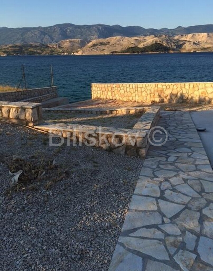 Image 1577969 - 11