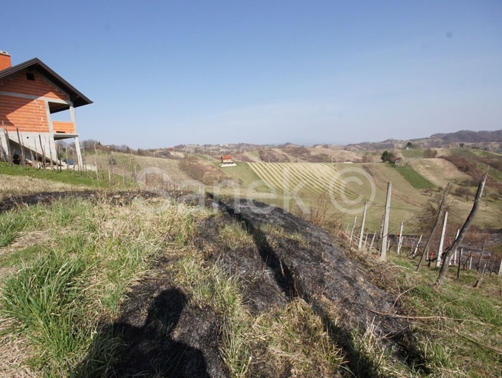 Image 1633549 - 5