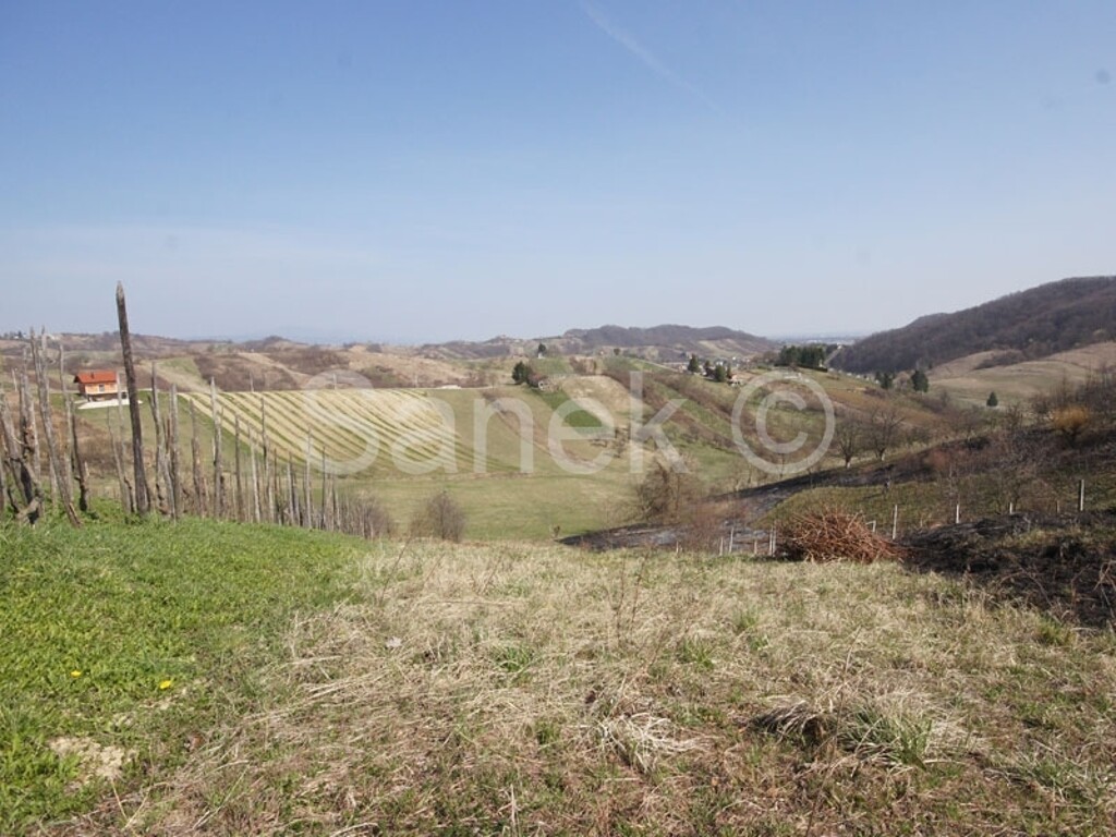 Image 1633549 - 2