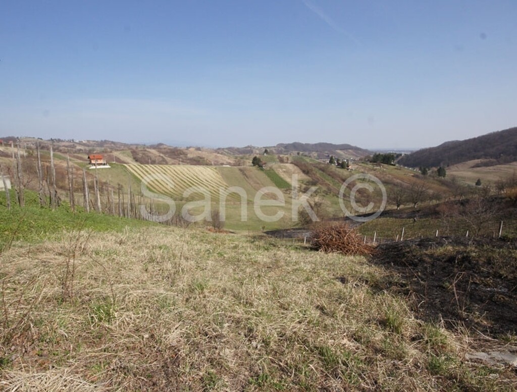 Image 1633549 - 4
