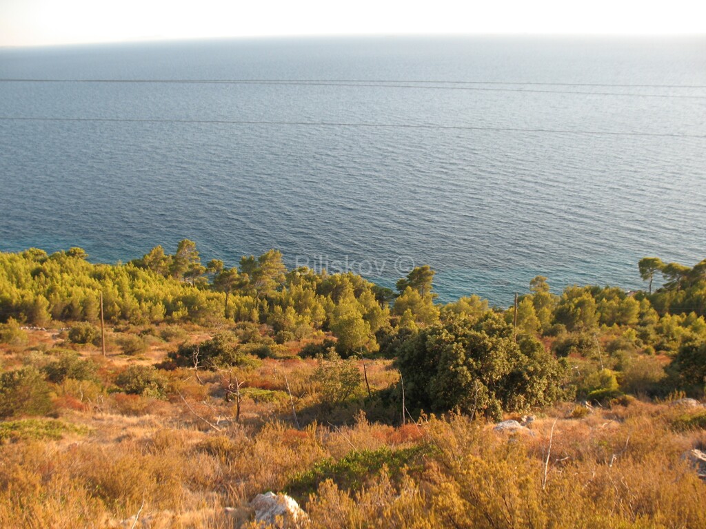 Image 1806492 - 2