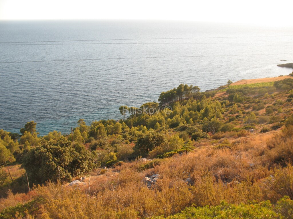 Image 1806492 - 3