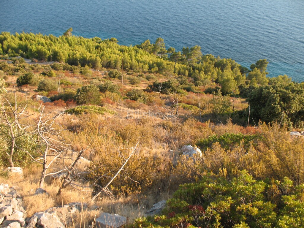 Image 1806492 - 4