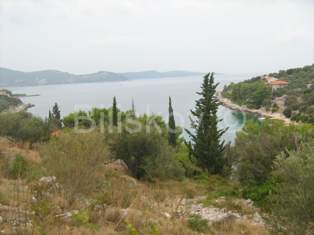 Image 1806523 - 1