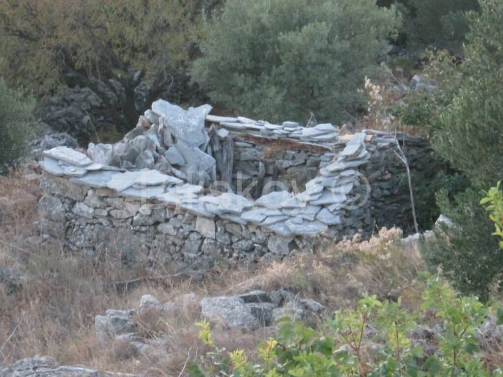 Image 1806665 - 2