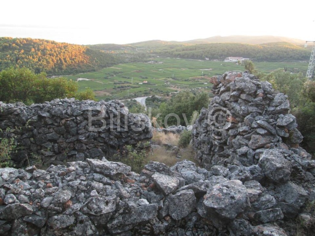 Image 1806665 - 5